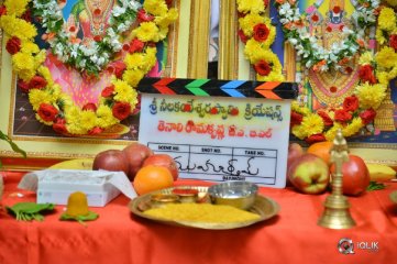 Tenali Ramakrishna Movie Opening